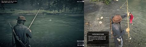 How To Make $300 Plus Quickly By Fishing In RDR2 .